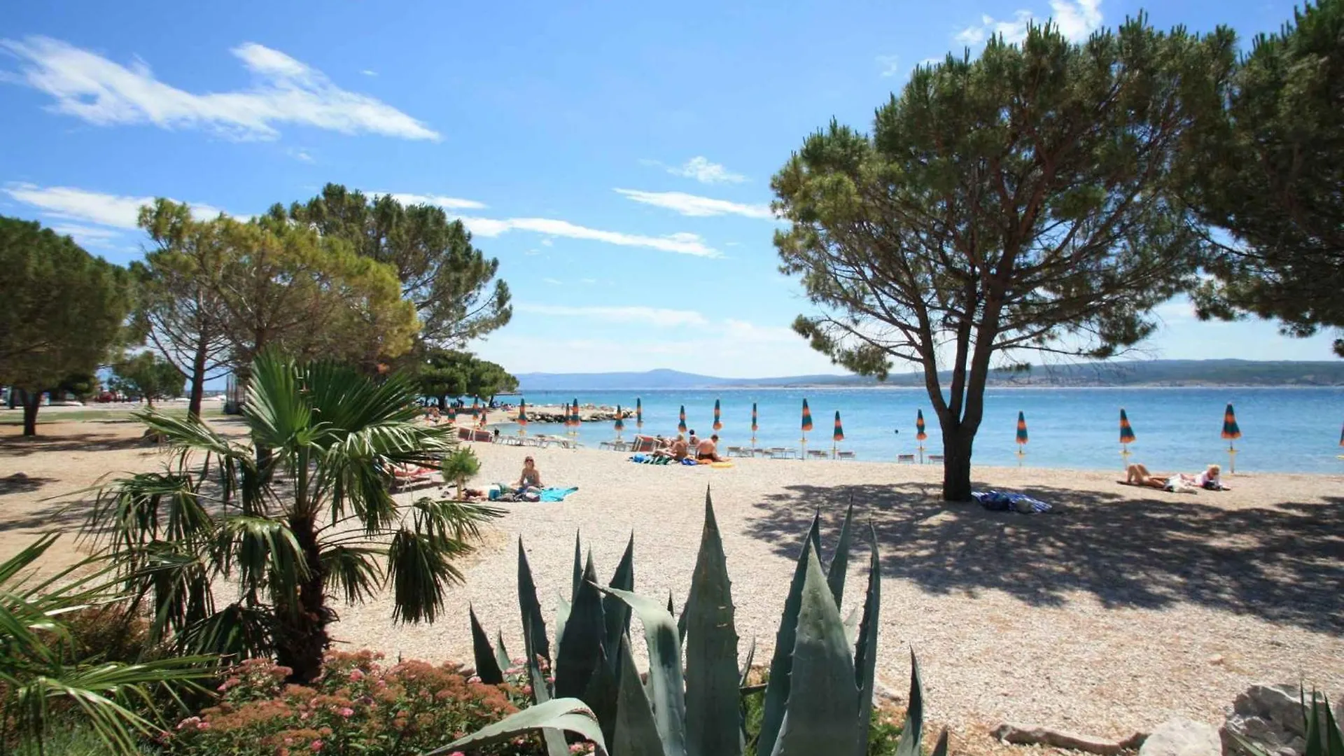 Apartment In Crikvenica 50555