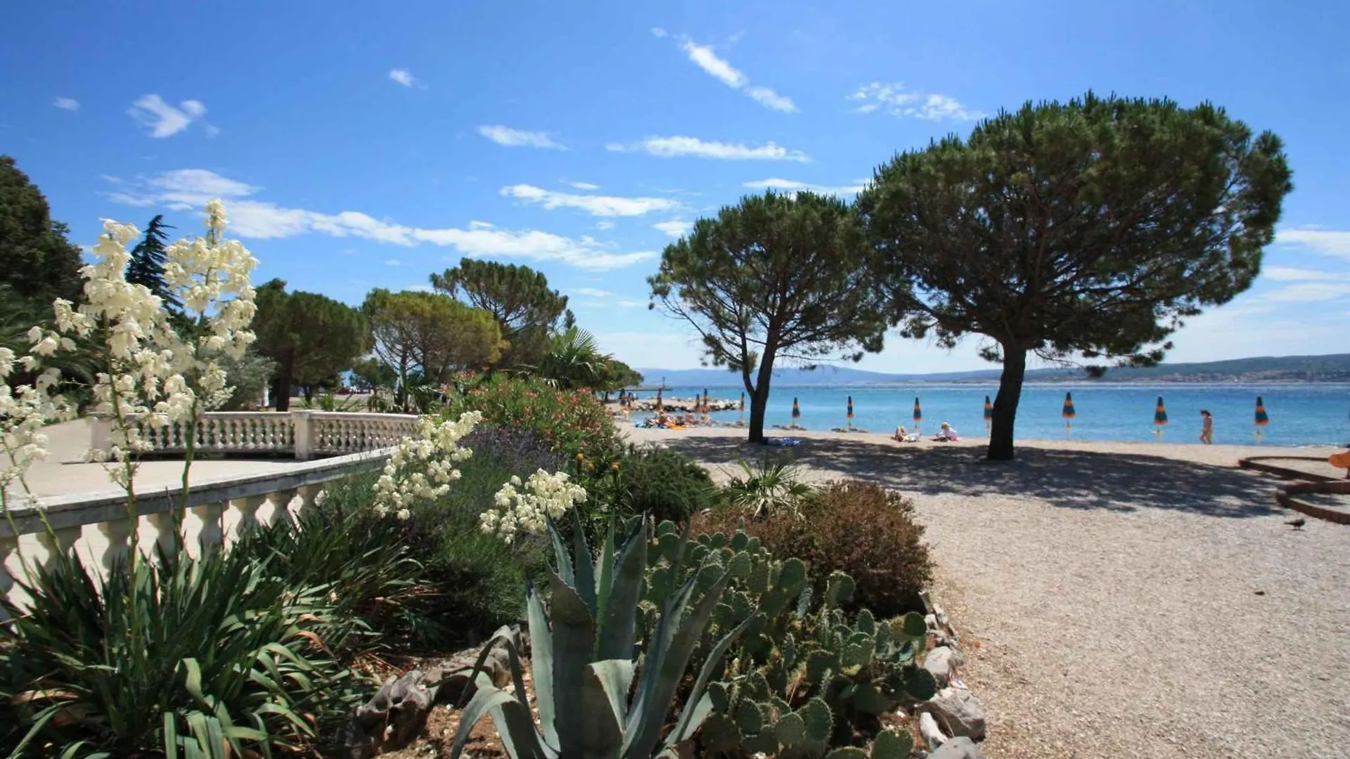 Apartment In Crikvenica 50555